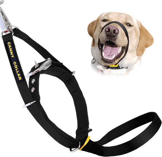 Canny Collar antitirones para perros – adiestramiento sin tirones