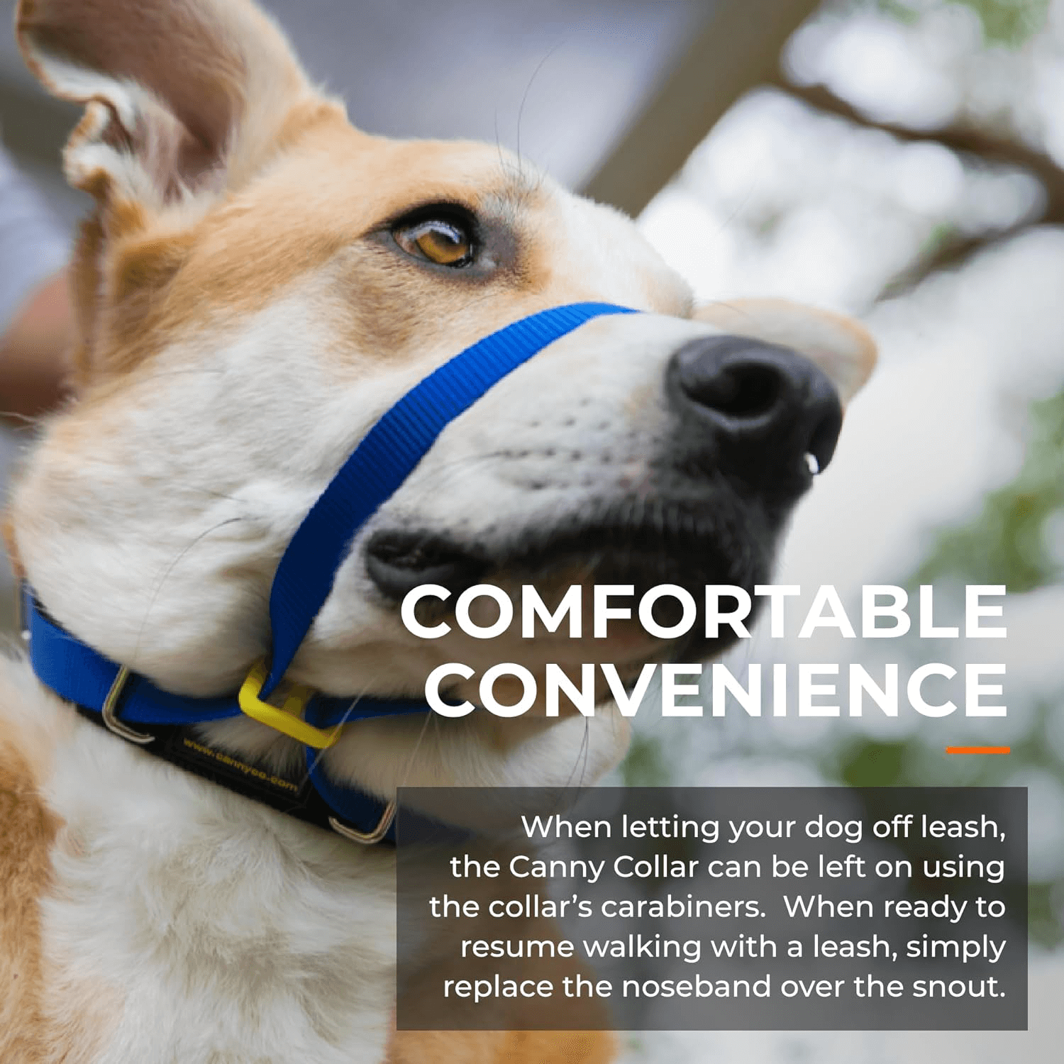 Canny Collar | El mejor collar anti tirones para ayudar a entrenar a tu perro a no tirar.  Gabo y Gordo E Shop, la mejor tienda online en las Islas Canarias, España, tienda online para mascotas, perros, gatos, conejos, tortugas, animales, accesorios para mascotas en general. 
Gabo y Gordo E Shop in Canary Islands, the best store for pets, dogs, cats, rabbits, turtles, animals, pet accessories.