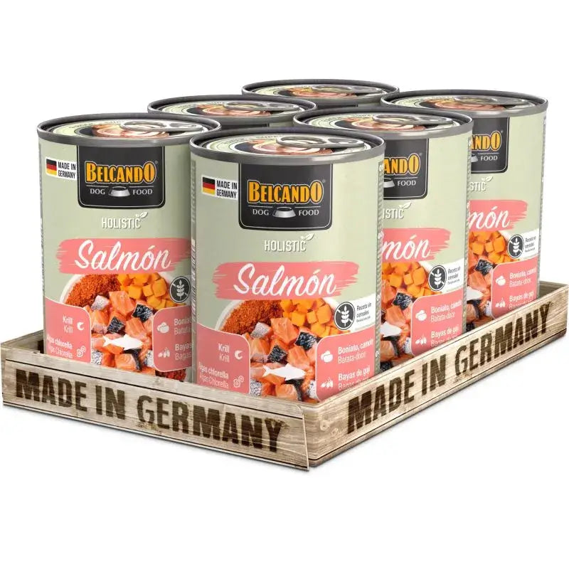 Comida húmeda Holistic salmón sin cereales para perros adultos 400g Made in Germany