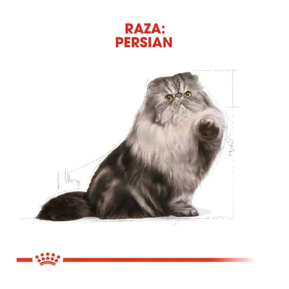 ROYAL CANIN Persian / Pienso Para Gatos Gabo y Gordo E Shop, la mejor tienda online en las Islas Canarias, España, tienda online para mascotas, perros, gatos, conejos, tortugas, animales, accesorios para mascotas en general. 
Gabo y Gordo E Shop in Canary Islands, the best store for pets, dogs, cats, rabbits, turtles, animals, pet accessories.