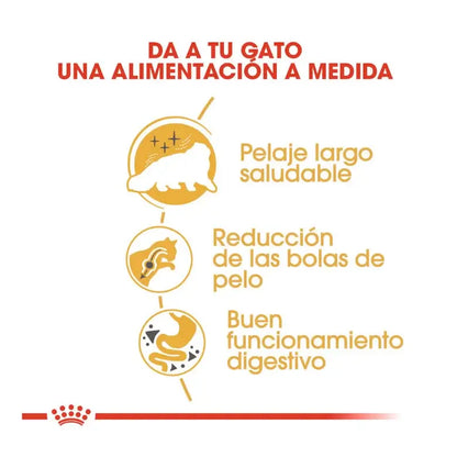 ROYAL CANIN Persian / Pienso Para Gatos Gabo y Gordo E Shop, la mejor tienda online en las Islas Canarias, España, tienda online para mascotas, perros, gatos, conejos, tortugas, animales, accesorios para mascotas en general. 
Gabo y Gordo E Shop in Canary Islands, the best store for pets, dogs, cats, rabbits, turtles, animals, pet accessories.