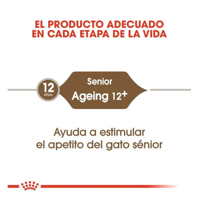 ROYAL CANIN Ageing +12 / Pienso Para Gatos. Gabo y Gordo E Shop, la mejor tienda online en las Islas Canarias, España, tienda online para mascotas, perros, gatos, conejos, tortugas, animales, accesorios para mascotas en general. 
Gabo y Gordo E Shop in Canary Islands, the best store for pets, dogs, cats, rabbits, turtles, animals, pet accessories.