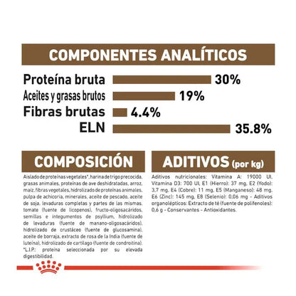 ROYAL CANIN Ageing +12 / Pienso Para Gatos. Gabo y Gordo E Shop, la mejor tienda online en las Islas Canarias, España, tienda online para mascotas, perros, gatos, conejos, tortugas, animales, accesorios para mascotas en general. 
Gabo y Gordo E Shop in Canary Islands, the best store for pets, dogs, cats, rabbits, turtles, animals, pet accessories.