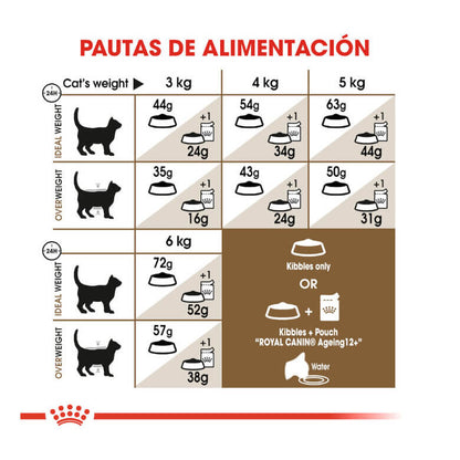 ROYAL CANIN Ageing +12 / Pienso Para Gatos. Gabo y Gordo E Shop, la mejor tienda online en las Islas Canarias, España, tienda online para mascotas, perros, gatos, conejos, tortugas, animales, accesorios para mascotas en general. 
Gabo y Gordo E Shop in Canary Islands, the best store for pets, dogs, cats, rabbits, turtles, animals, pet accessories.