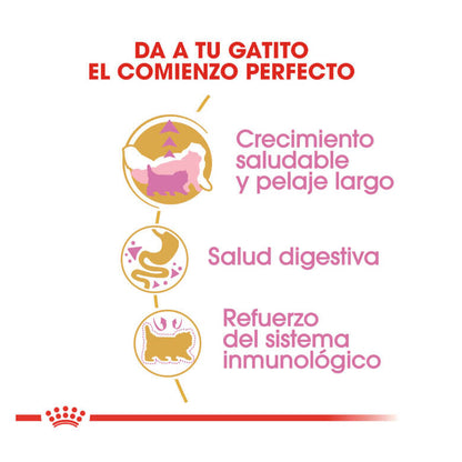 ROYAL CANIN Kitten Persian / Pienso Para Gatos Gabo y Gordo E Shop, la mejor tienda online en las Islas Canarias, España, tienda online para mascotas, perros, gatos, conejos, tortugas, animales, accesorios para mascotas en general. 
Gabo y Gordo E Shop in Canary Islands, the best store for pets, dogs, cats, rabbits, turtles, animals, pet accessories.