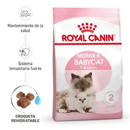 ROYAL CANIN Mother Babycat / Pienso Para Gatos. Gabo y Gordo E Shop, la mejor tienda online en las Islas Canarias, España, tienda online para mascotas, perros, gatos, conejos, tortugas, animales, accesorios para mascotas en general. 
Gabo y Gordo E Shop in Canary Islands, the best store for pets, dogs, cats, rabbits, turtles, animals, pet accessories.