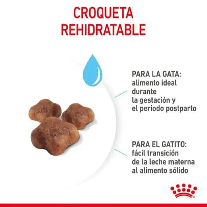ROYAL CANIN Mother Babycat / Pienso Para Gatos. Gabo y Gordo E Shop, la mejor tienda online en las Islas Canarias, España, tienda online para mascotas, perros, gatos, conejos, tortugas, animales, accesorios para mascotas en general. 
Gabo y Gordo E Shop in Canary Islands, the best store for pets, dogs, cats, rabbits, turtles, animals, pet accessories.