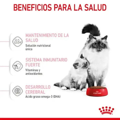 ROYAL CANIN Mother Babycat / Pienso Para Gatos. Gabo y Gordo E Shop, la mejor tienda online en las Islas Canarias, España, tienda online para mascotas, perros, gatos, conejos, tortugas, animales, accesorios para mascotas en general. 
Gabo y Gordo E Shop in Canary Islands, the best store for pets, dogs, cats, rabbits, turtles, animals, pet accessories.