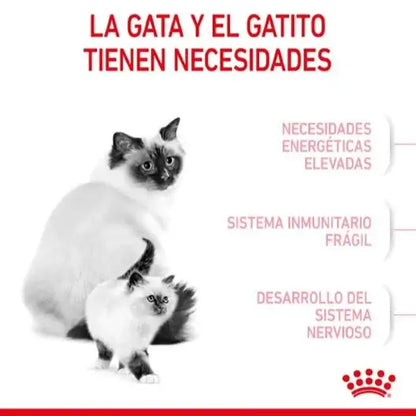 ROYAL CANIN Mother Babycat / Pienso Para Gatos. Gabo y Gordo E Shop, la mejor tienda online en las Islas Canarias, España, tienda online para mascotas, perros, gatos, conejos, tortugas, animales, accesorios para mascotas en general. 
Gabo y Gordo E Shop in Canary Islands, the best store for pets, dogs, cats, rabbits, turtles, animals, pet accessories.