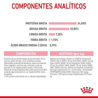 ROYAL CANIN Mother Babycat / Pienso Para Gatos. Gabo y Gordo E Shop, la mejor tienda online en las Islas Canarias, España, tienda online para mascotas, perros, gatos, conejos, tortugas, animales, accesorios para mascotas en general. 
Gabo y Gordo E Shop in Canary Islands, the best store for pets, dogs, cats, rabbits, turtles, animals, pet accessories.