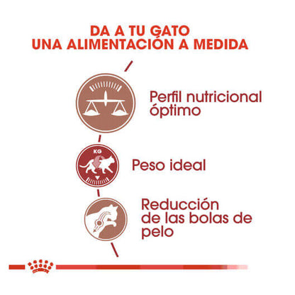 ROYAL CANIN Fit 32 / Pienso Para Gatos. Gabo y Gordo E Shop, la mejor tienda online en las Islas Canarias, España, tienda online para mascotas, perros, gatos, conejos, tortugas, animales, accesorios para mascotas en general. 
Gabo y Gordo E Shop in Canary Islands, the best store for pets, dogs, cats, rabbits, turtles, animals, pet accessories.