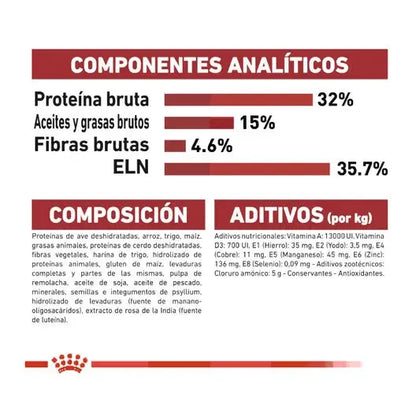 ROYAL CANIN Fit 32 / Pienso Para Gatos. Gabo y Gordo E Shop, la mejor tienda online en las Islas Canarias, España, tienda online para mascotas, perros, gatos, conejos, tortugas, animales, accesorios para mascotas en general. 
Gabo y Gordo E Shop in Canary Islands, the best store for pets, dogs, cats, rabbits, turtles, animals, pet accessories.