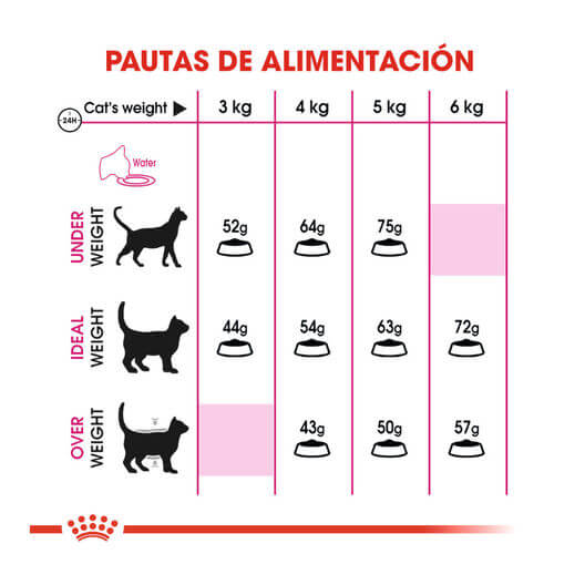 ROYAL CANIN Fit 32 / Pienso Para Gatos. Gabo&Gordo Pet Shop en Las Palmas de Gran Canaria tienda para mascotas, perros, gatos, conejos, tortugas, animales