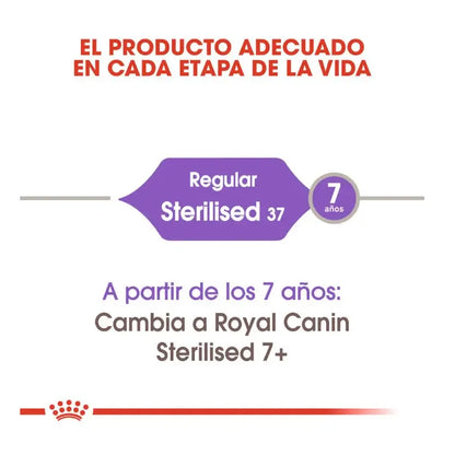 ROYAL CANIN Regular Sterilized 37 / Pienso Para Gatos. Gabo y Gordo E Shop, la mejor tienda online en las Islas Canarias, España, tienda online para mascotas, perros, gatos, conejos, tortugas, animales, accesorios para mascotas en general. 
Gabo y Gordo E Shop in Canary Islands, the best store for pets, dogs, cats, rabbits, turtles, animals, pet accessories.