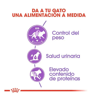ROYAL CANIN Regular Sterilized 37 / Pienso Para Gatos. Gabo y Gordo E Shop, la mejor tienda online en las Islas Canarias, España, tienda online para mascotas, perros, gatos, conejos, tortugas, animales, accesorios para mascotas en general. 
Gabo y Gordo E Shop in Canary Islands, the best store for pets, dogs, cats, rabbits, turtles, animals, pet accessories.