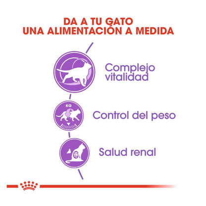 ROYAL CANIN Regular Sterilized +7 / Pienso Para Gatos Gabo y Gordo E Shop, la mejor tienda online en las Islas Canarias, España, tienda online para mascotas, perros, gatos, conejos, tortugas, animales, accesorios para mascotas en general. 
Gabo y Gordo E Shop in Canary Islands, the best store for pets, dogs, cats, rabbits, turtles, animals, pet accessories.