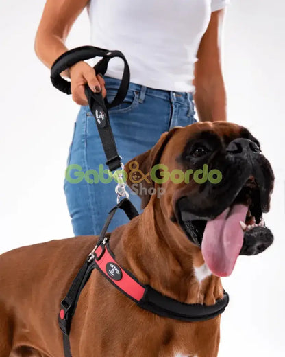 Correa doble roja TRE PONTI con asas acolchadas para perros grandes de 60 cm