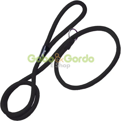 Correa Gloria para perros con collar de adiestramiento, color azul o verde