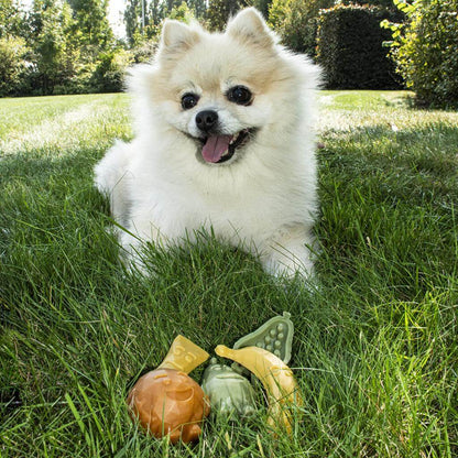 Duvo Garden Bites Fruity Friends, snack vegetariano para perros con batata, plátano, melocotón y pera, sin gluten y beneficios para la higiene dental.
