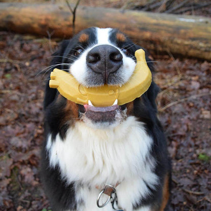 Duvo Garden Bites Fruity Friends, snack vegetariano para perros con batata, plátano, melocotón y pera, sin gluten y beneficios para la higiene dental.