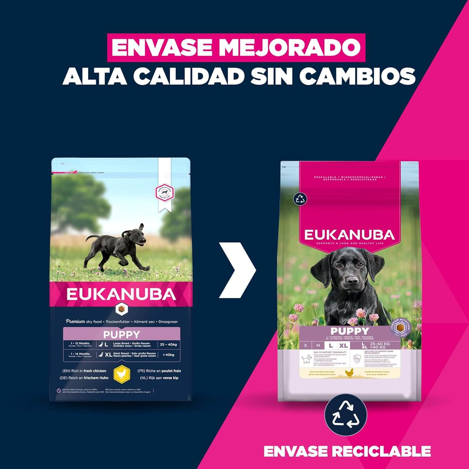 Eukanuba Puppy Razas Grandes pienso premium para cachorros de razas grandes crecimiento saludable
