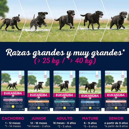 Eukanuba Puppy Razas Grandes pienso premium para cachorros de razas grandes crecimiento saludable