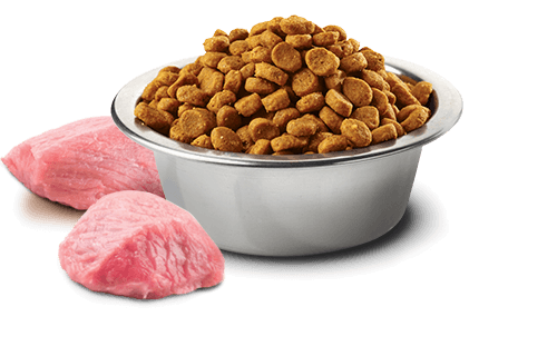 Farmina N&D Pumpkin Cordero & Arándanos Adult Mini, pienso sin cereales para perros adultos de razas pequeñas con cordero, calabaza y arándanos.