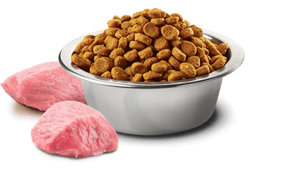 Farmina N&D Pumpkin Cordero & Arándanos Adult Mini, pienso sin cereales para perros adultos de razas pequeñas con cordero, calabaza y arándanos.