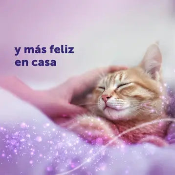 FELIWAY Classic Difusor con recambio de 48 ml para reducir el estrés, el marcaje con orina y los arañazos en gatos. Disponible en Gabo y Gordo E Shop con envío en Canarias.