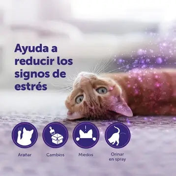 FELIWAY Classic Difusor con recambio de 48 ml para reducir el estrés, el marcaje con orina y los arañazos en gatos. Disponible en Gabo y Gordo E Shop con envío en Canarias.
