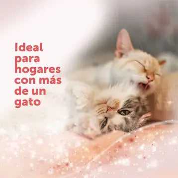 FELIWAY Friends Difusor con recambio de 48 ml para reducir peleas, estrés y conflictos entre gatos en el hogar. Disponible en Gabo y Gordo E Shop con envío en Canarias.