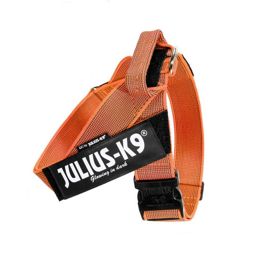Arnés de cinta JULIUS K9 IDC en colores gris y naranja para perros.