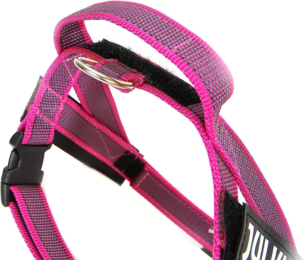 Arnés de cinta JULIUS K9 IDC en colores gris y rosa para perros.