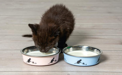 KARLIE Ascar comedero de acero inoxidable antideslizante de 160 ml para gatos y gatitos