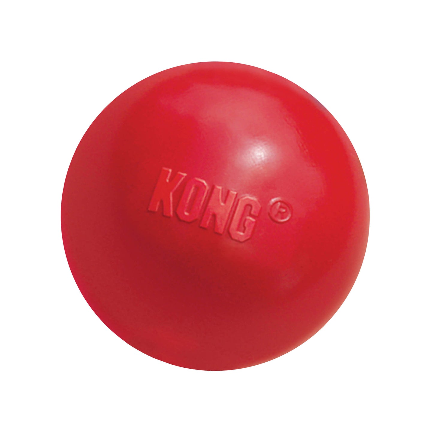Perro jugando al aire libre con la pelota KONG roja de caucho natural con agujero, ideal para juegos interactivos. Disponible en Gabo y Gordo E Shop.