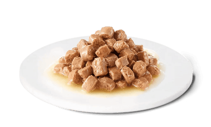 ADVANCE Vet Gastroenteric | Comida húmeda para gatos adultos Pack 12 x 85g.  Gabo y Gordo E Shop, la mejor tienda online en las Islas Canarias, España, tienda online para mascotas, perros, gatos, conejos, tortugas, animales, accesorios para mascotas en general. 
Gabo y Gordo E Shop in Canary Islands, the best store for pets, dogs, cats, rabbits, turtles, animals, pet accessories.