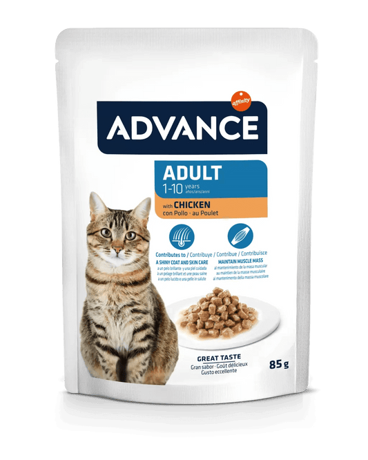 ADVANCE Adulto | Comida húmeda para gatos adultos esterilizados con pavo Pack 12 x 85g.  Gabo y Gordo E Shop, la mejor tienda online en las Islas Canarias, España, tienda online para mascotas, perros, gatos, conejos, tortugas, animales, accesorios para mascotas en general. 
Gabo y Gordo E Shop in Canary Islands, the best store for pets, dogs, cats, rabbits, turtles, animals, pet accessories.