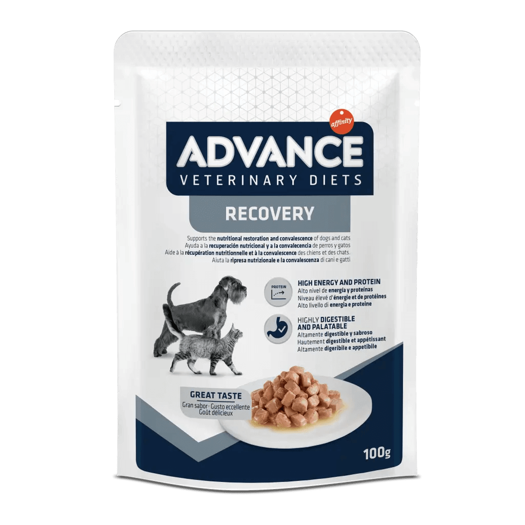 ADVANCE Recovery | Comida húmeda para perros y gatos Pack 11 x 100 g