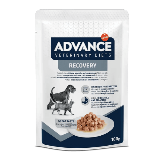 ADVANCE Recovery | Comida húmeda para perros y gatos Pack 11 x 100 g