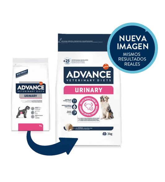 PIENSO ADVANCE VET URINARY DOG PERRO Gabo y Gordo E Shop, la mejor tienda online en las Islas Canarias, España, tienda online para mascotas, perros, gatos, conejos, tortugas, animales, accesorios para mascotas en general. 
Gabo y Gordo E Shop in Canary Islands, the best store for pets, dogs, cats, rabbits, turtles, animals, pet accessories.