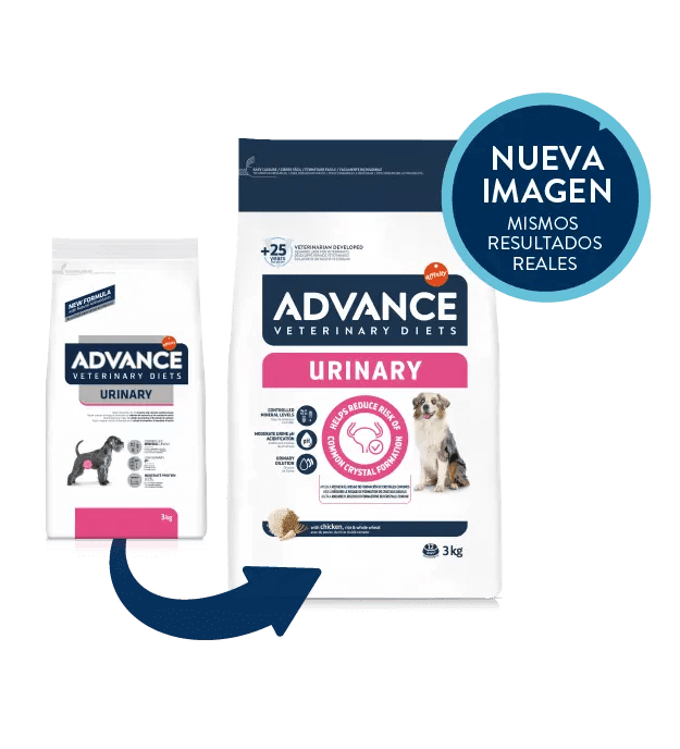 PIENSO ADVANCE VET URINARY DOG PERRO Gabo y Gordo E Shop, la mejor tienda online en las Islas Canarias, España, tienda online para mascotas, perros, gatos, conejos, tortugas, animales, accesorios para mascotas en general. 
Gabo y Gordo E Shop in Canary Islands, the best store for pets, dogs, cats, rabbits, turtles, animals, pet accessories.