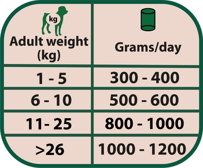 Comida húmeda Natural Greatness cordero monoproteico sin cereales para perros adultos hipoalergénica, pack 12x400 g