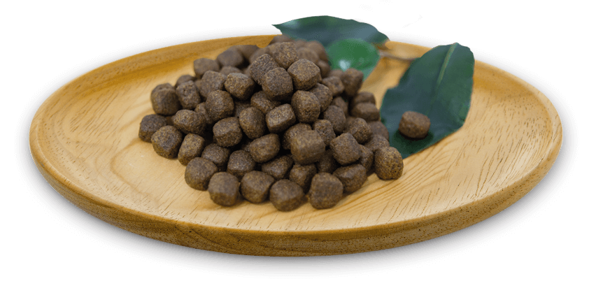 Pienso Natural Greatness Pavo sin cereales para perros adultos con digestión sensible en Canarias