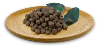 NATURAL GREATNESS RECETA DE PAVO PERROS SIN CEREALES en Gabo y Gordo E Shop, la mejor tienda online en las Islas Canarias, España, tienda online para mascotas, perros, gatos, conejos, tortugas, animales, accesorios para mascotas en general. 
Gabo y Gordo E Shop in Canary Islands, the best store for pets, dogs, cats, rabbits, turtles, animals, pet accessories.