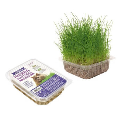 Nayeco Hierba Natural para Gatos 120 g, hierba gatera natural que ayuda a eliminar bolas de pelo y favorece la salud digestiva. Disponible en Gabo y Gordo E Shop Canarias.