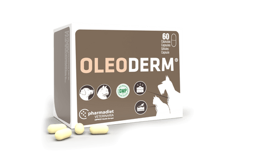 Oleoderm suplemento natural para mejorar piel y pelaje de perros y gatos