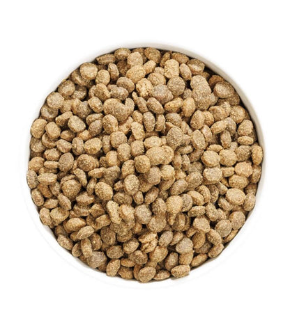 OWNAT Author Fresh Lamb & Pork | pienso con cordero y cerdo fresco bajo en cereales para perros Gabo&Gordo Pet Shop en Las Palmas de Gran Canaria tienda para mascotas, perros, gatos, conejos, tortugas, animales
