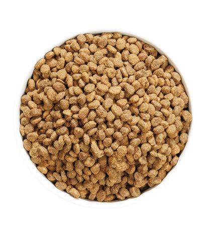 OWNAT Author Sterilized Cat Fresh Chicken | pienso Ownat Author con pollo para gatos esterilizados Gabo y Gordo E Shop, la mejor tienda online en las Islas Canarias, España, tienda online para mascotas, perros, gatos, conejos, tortugas, animales, accesorios para mascotas en general. 
Gabo y Gordo E Shop in Canary Islands, the best store for pets, dogs, cats, rabbits, turtles, animals, pet accessories.
