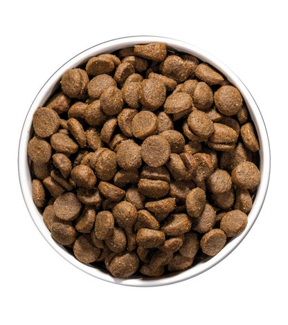 OWNAT Care Dermatologic | Pienso para perros con problemas dermatológicos Gabo&Gordo Pet Shop en Las Palmas de Gran Canaria tienda para mascotas, perros, gatos, conejos, tortugas, animales