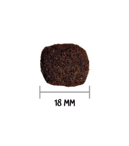 OWNAT Grain Free Hypoallergenic Lamb | pienso Hipoalergénico con cordero sin cereales para perros Gabo&Gordo Pet Shop en Las Palmas de Gran Canaria tienda para mascotas, perros, gatos, conejos, tortugas, animales